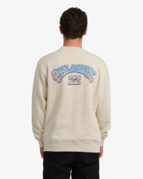 3 Short Sands - Sweatshirt für Männer Braun 24A462503 Billabong