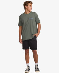 1 Lizard Mountain - Short Sleeves T-Shirt for Men Gray 24A501545 Billabong