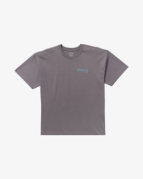 6 Grow Og A/Div - T-Shirt für Männer Grau 24A503507 Billabong