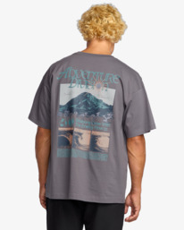 2 Grow Og A/Div - T-Shirt für Männer Grau 24A503507 Billabong