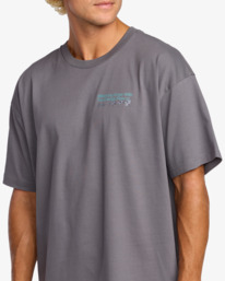 5 Grow Og A/Div - T-Shirt für Männer Grau 24A503507 Billabong