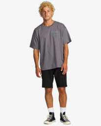 3 Grow Og A/Div - T-Shirt für Männer Grau 24A503507 Billabong