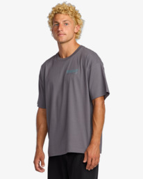 4 Grow Og A/Div - T-Shirt für Männer Grau 24A503507 Billabong