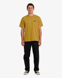 3 Range A/DIV - Short Sleeve T-Shirt for Men Yellow 24A504501 Billabong
