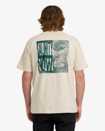 1 Salinity Now Regular - T-shirt de manga curta para Homem Beige 24A504511 Billabong