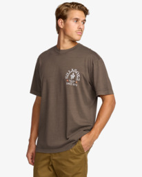 3 Coiled Premium Wave Washed - T-Shirt für Männer Braun 24A523501 Billabong