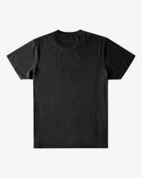 1 DISCIPLINES SS WW  A1SS20BIMU Billabong