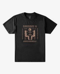 0 DISCIPLINES SS WW  A1SS20BIMU Billabong
