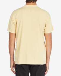 3 Judges Crawford - T-Shirt for Men  A1SS28BIW0 Billabong