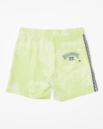 1 D Bah Layback - Board Shorts for Men  ABYBS00366 Billabong