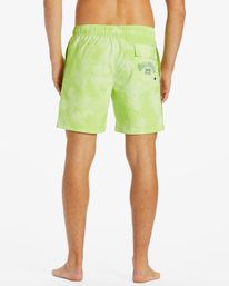 4 D Bah Layback - Board Shorts for Men  ABYBS00366 Billabong