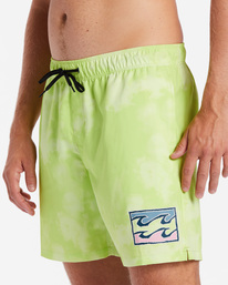 6 D Bah Layback - Board Shorts for Men  ABYBS00366 Billabong