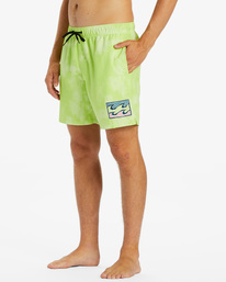5 D Bah Layback - Board Shorts for Men  ABYBS00366 Billabong