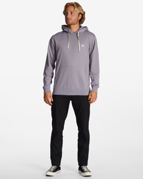 1 All Day - Sweat à capuche pour Homme Gris ABYFT00336 Billabong