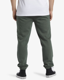 2 Compass - Elastic Waist Pants for Men Green ABYNP00194 Billabong