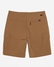 1 Surftrek Transport 19" - Surftrek-Cargoshorts für Männer Braun ABYTK03007 Billabong