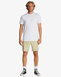1 Surftrek Hemp - Elastische, funktionelle Shorts f&uuml;r M&auml;nner Beige ABYWS00201 Billabong