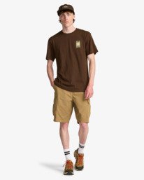 1 Combat - Cargoshorts f&uuml;r M&auml;nner Beige ABYWS00207 Billabong