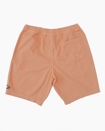 5 Larry - Short en velours pour Homme Rose ABYWS00208 Billabong