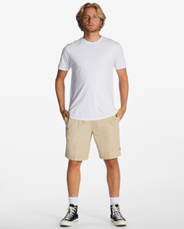 2 Larry Beige ABYWS00208 Billabong