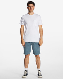 1 Larry Blau ABYWS00208 Billabong