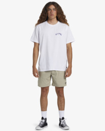 1 Mario Stretch Elastic 17" Gris ABYWS00224 Billabong