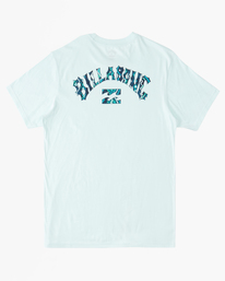 5 Arch Fill - T-Shirt for Men Blue ABYZT01696 Billabong