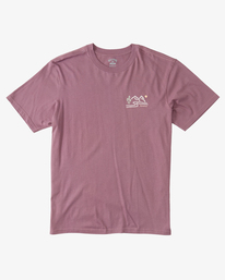 7 Panorama - T-shirt en matière biologique pour Homme Violet ABYZT01731 Billabong