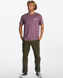 2 Panorama - T-shirt en matière biologique pour Homme Violet ABYZT01731 Billabong