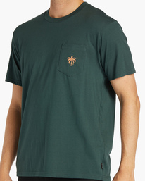 4 Tropics - Taschen-T-Shirt für Männer Grün ABYZT02204 Billabong