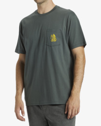 3 Tropicales - T-Shirt à manches courtes pour Homme Noir ABYZT02531 Billabong