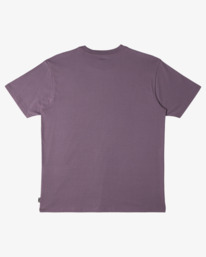 6 Topography - Short Sleeve T-shirt for Men Purple ABYZT02569 Billabong