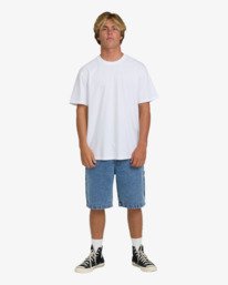 1 Bad Dog 22" Blue BL000558 Billabong