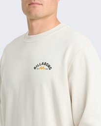 4 The Goodsneck Beige BL001148M Billabong