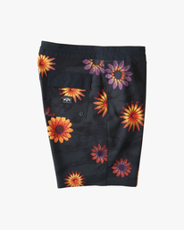 2 Sundays 17" - Boardshorts für Männer Blau C1BS51BIP2 Billabong