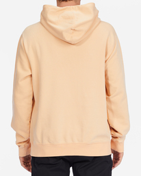2 Wave Washed - Sudadera con capucha para Hombre Multi C1FL13BIP2 Billabong