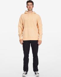 1 Wave Washed - Sudadera con capucha para Hombre Multi C1FL13BIP2 Billabong