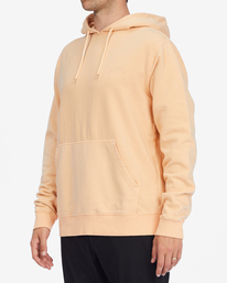 3 Wave Washed - Sudadera con capucha para Hombre Multi C1FL13BIP2 Billabong