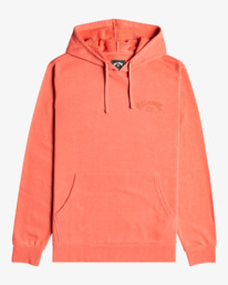 3 Arch Wave - Sweat à capuche pour Homme Rouge C1HO04BIP2 Billabong