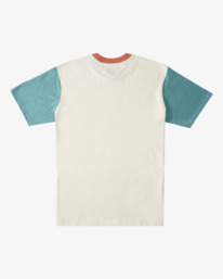 5 Zenith - T-Shirt für Männer Braun C1JE22BIP2 Billabong