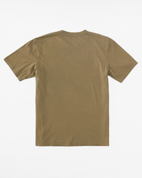 5 Mesa Wavewash - Short Sleeve T-Shirt for Men Brown C1JE25BIP2 Billabong