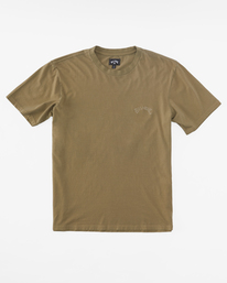 4 Mesa Wavewash - Short Sleeve T-Shirt for Men Brown C1JE25BIP2 Billabong