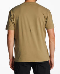 2 Mesa Wavewash - Short Sleeve T-Shirt for Men Brown C1JE25BIP2 Billabong