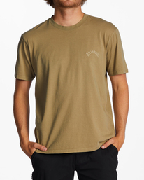 0 Mesa Wavewash - Short Sleeve T-Shirt for Men Brown C1JE25BIP2 Billabong