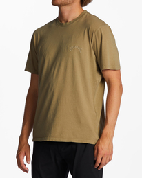3 Mesa Wavewash - Short Sleeve T-Shirt for Men Brown C1JE25BIP2 Billabong