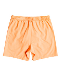 1 All Day - Schwimmshorts für Männer Blau C1LB12BIP2 Billabong