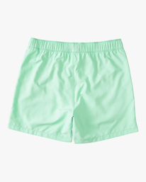 1 All Day - Swim Shorts for Men Green C1LB12BIP2 Billabong