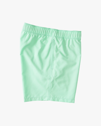 2 All Day - Swim Shorts for Men Green C1LB12BIP2 Billabong
