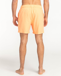 5 All Day - Schwimmshorts für Männer Blau C1LB12BIP2 Billabong