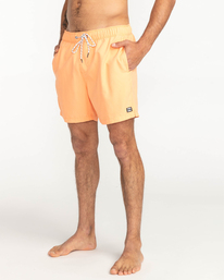 4 All Day - Schwimmshorts für Männer Blau C1LB12BIP2 Billabong